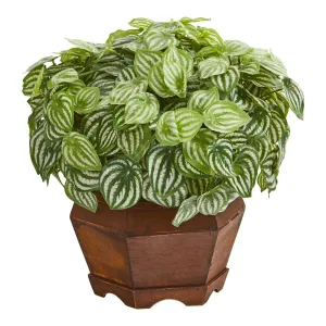 16” Watermelon Peperomia Artificial Plant in Decorative Planter (Real Touch)