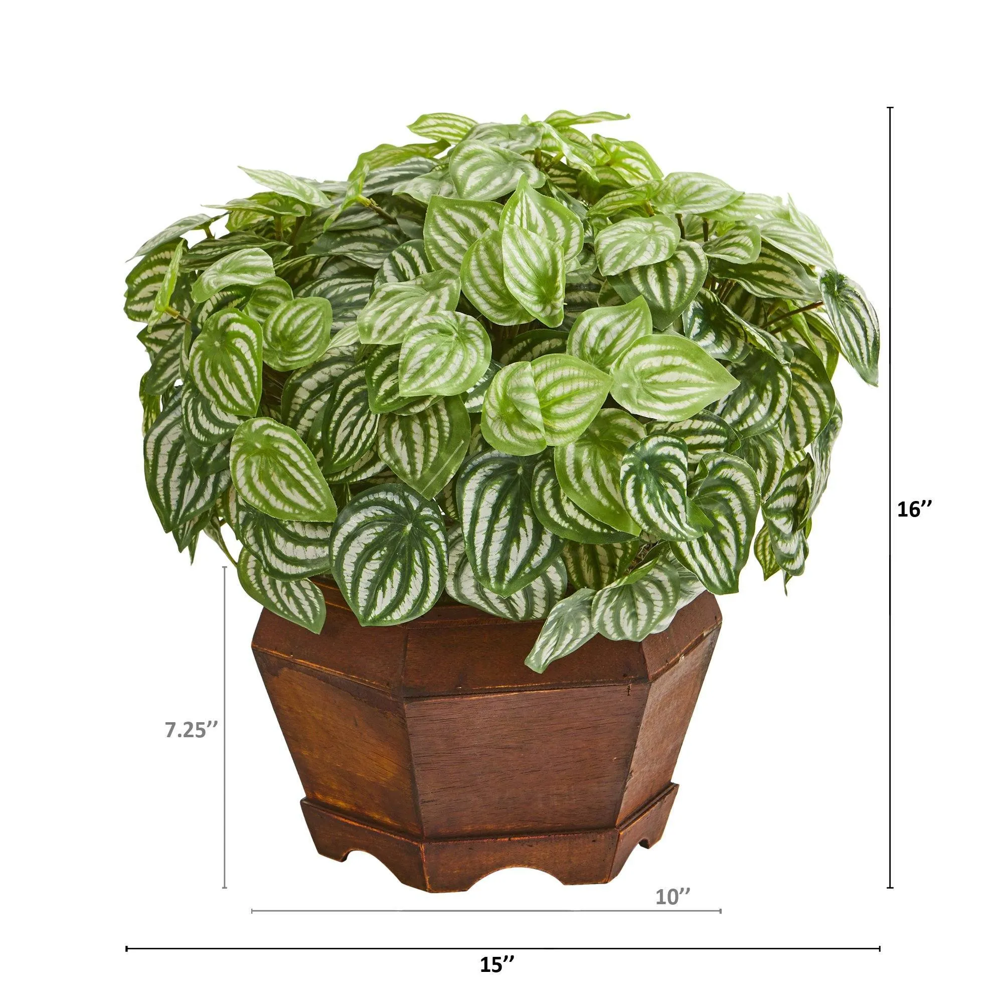 16” Watermelon Peperomia Artificial Plant in Decorative Planter (Real Touch)