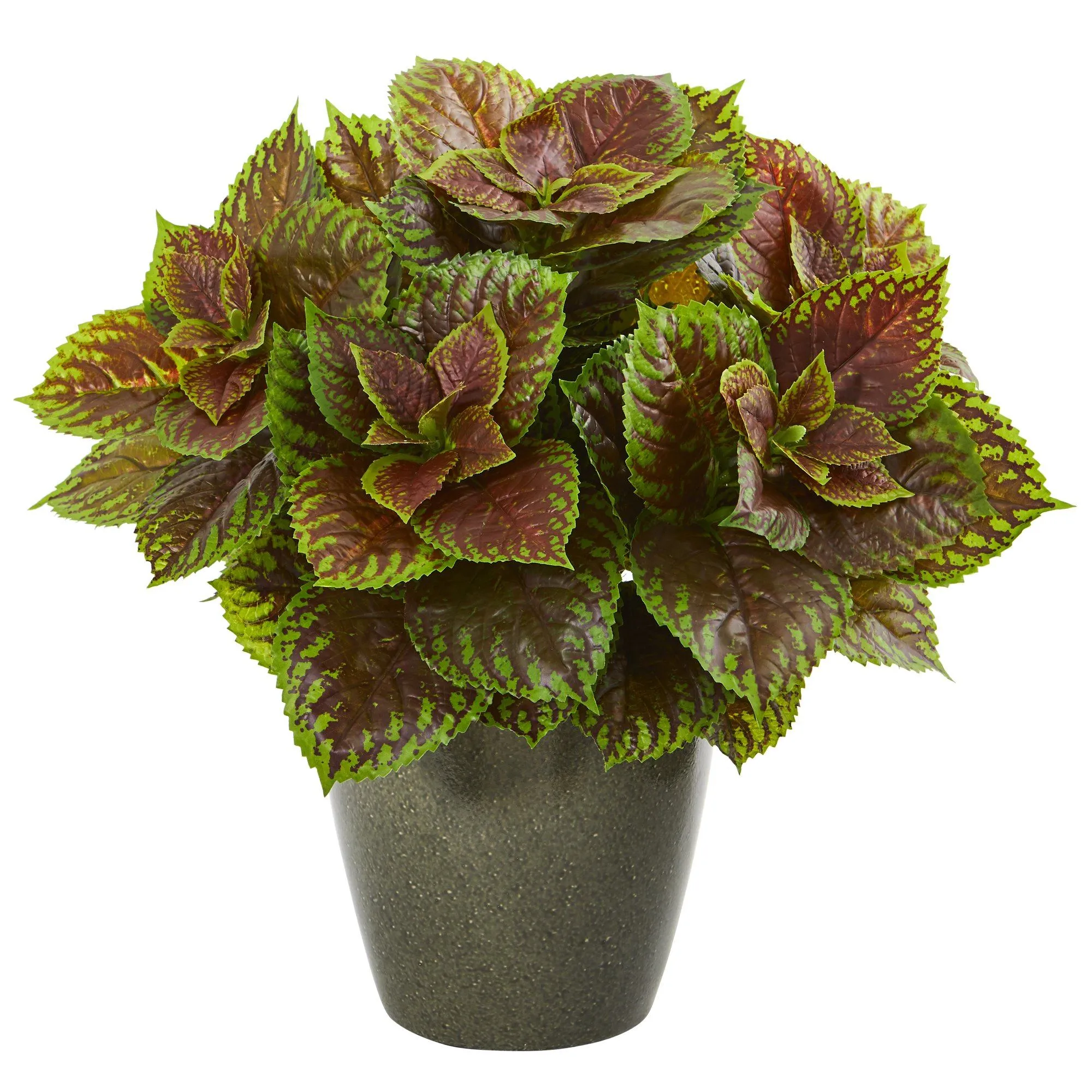 20” Coleus Artificial Plant in Green Planter (Real Touch)