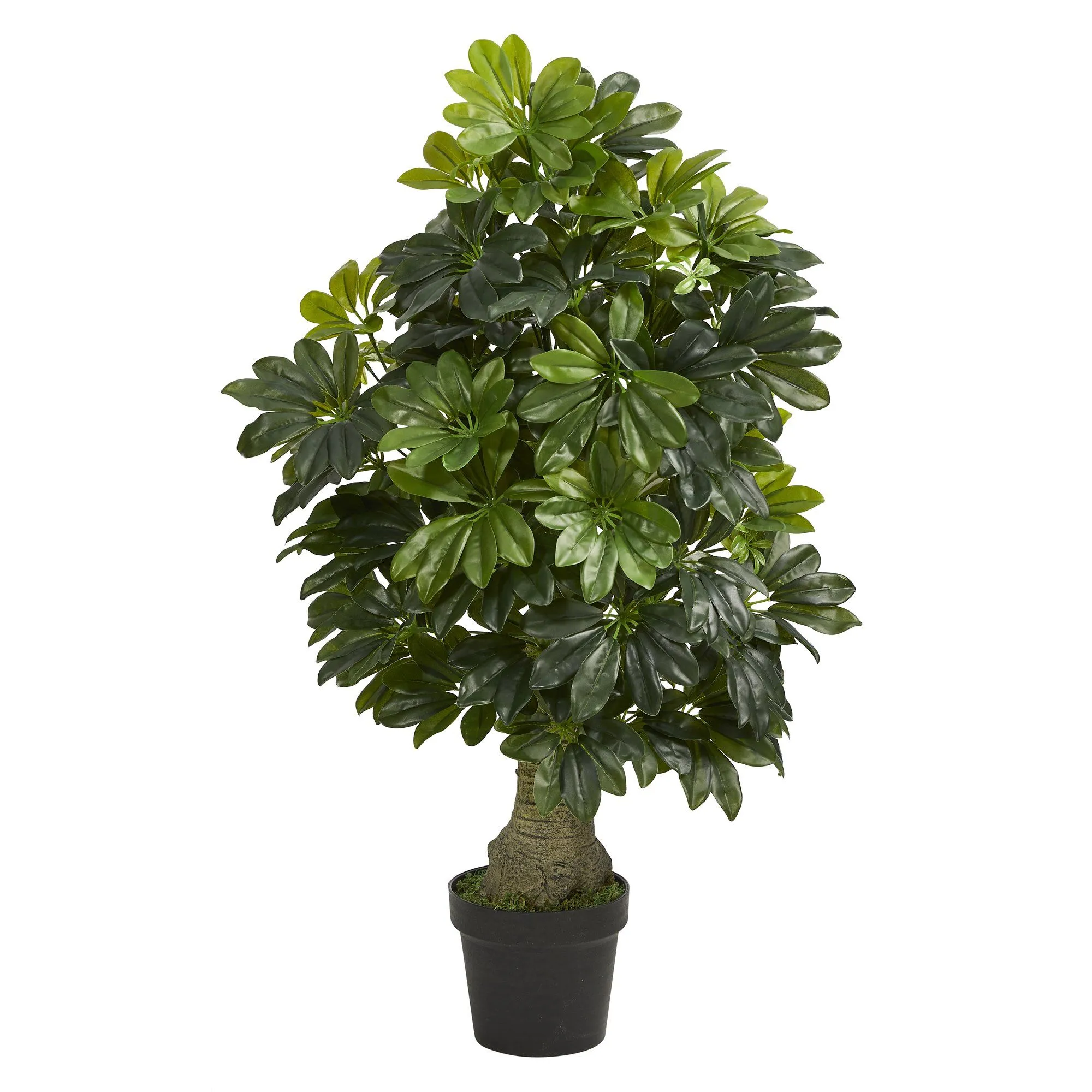 3' Schefflera Artificial Tree (Real Touch)