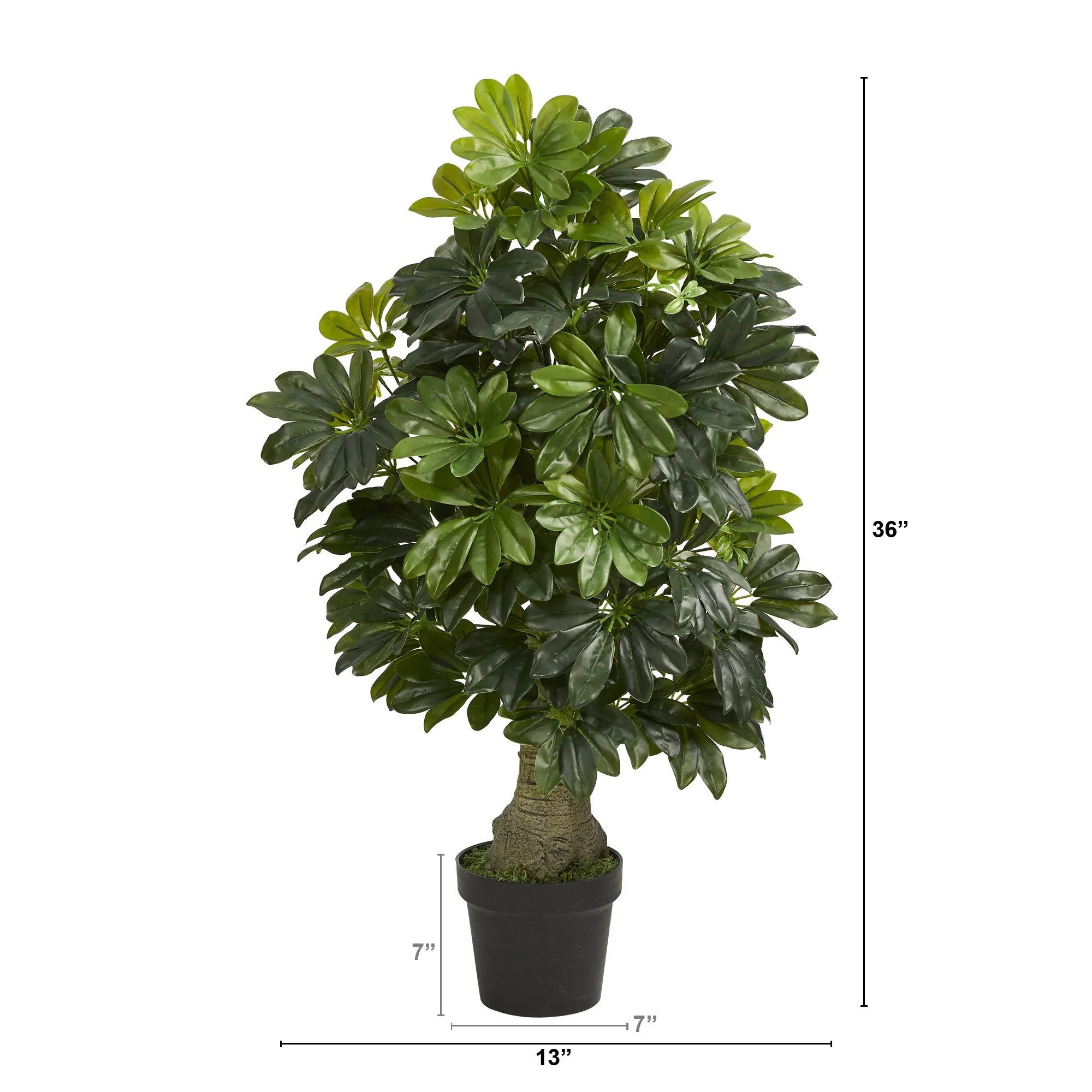 3' Schefflera Artificial Tree (Real Touch)