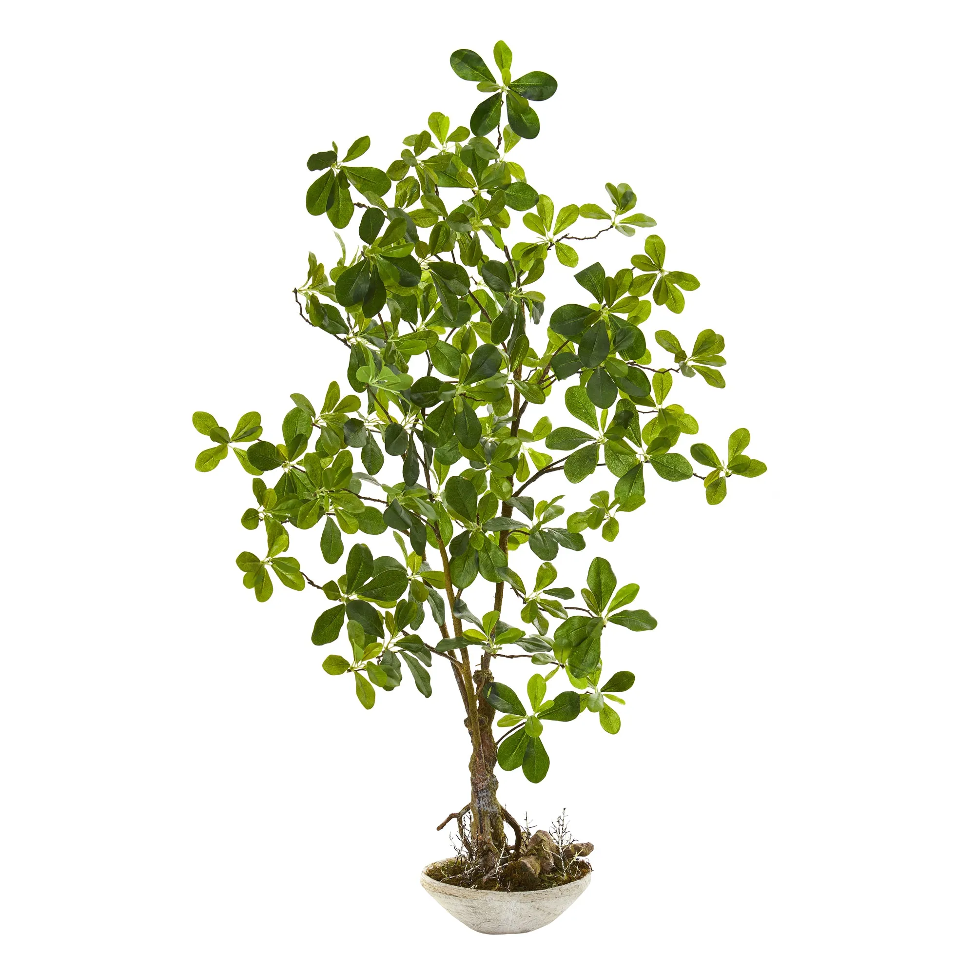 4' Artificial Schefflera Bonsai Plant in Planter - Low Maintenance, Life-Like & Vibrant Silk Trees For Busy People.