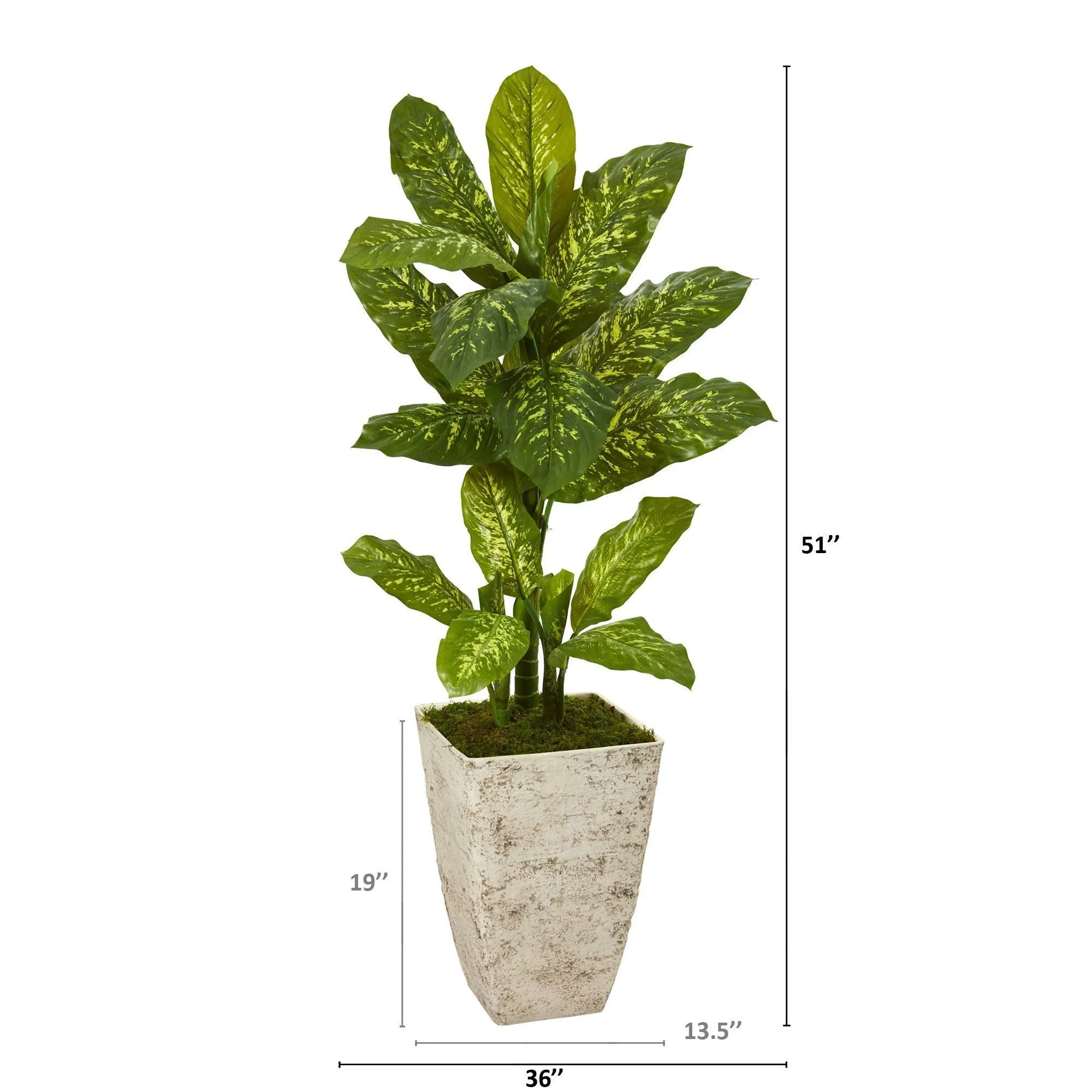 51” Dieffenbachia Artificial Plant in Stone Washed Planter (Real Touch)