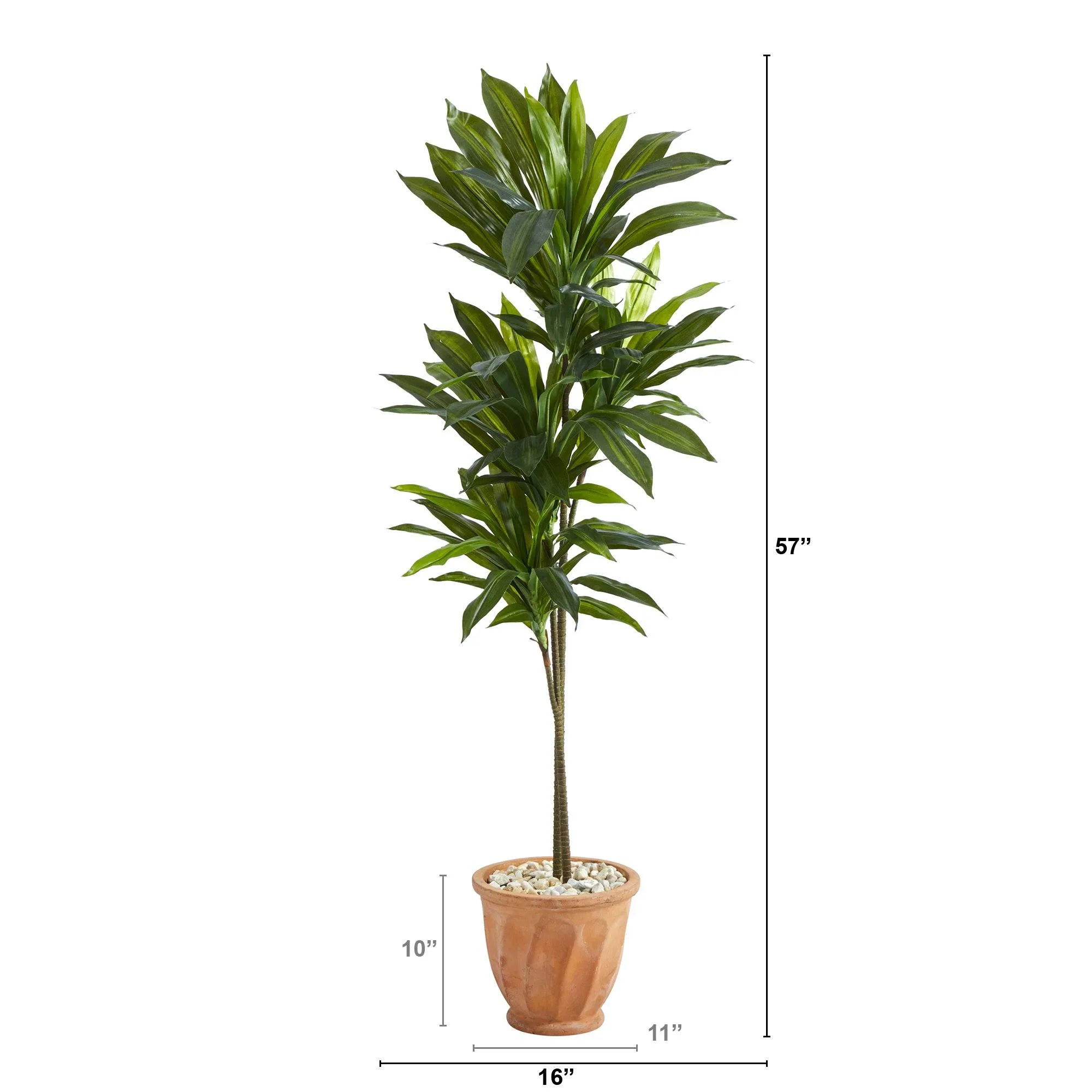 57” Dracaena Artificial Plant in Terra-Cotta Planter (Real Touch)