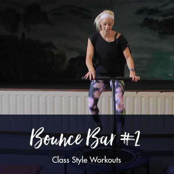 Bounce Bar Class Style Workout #2