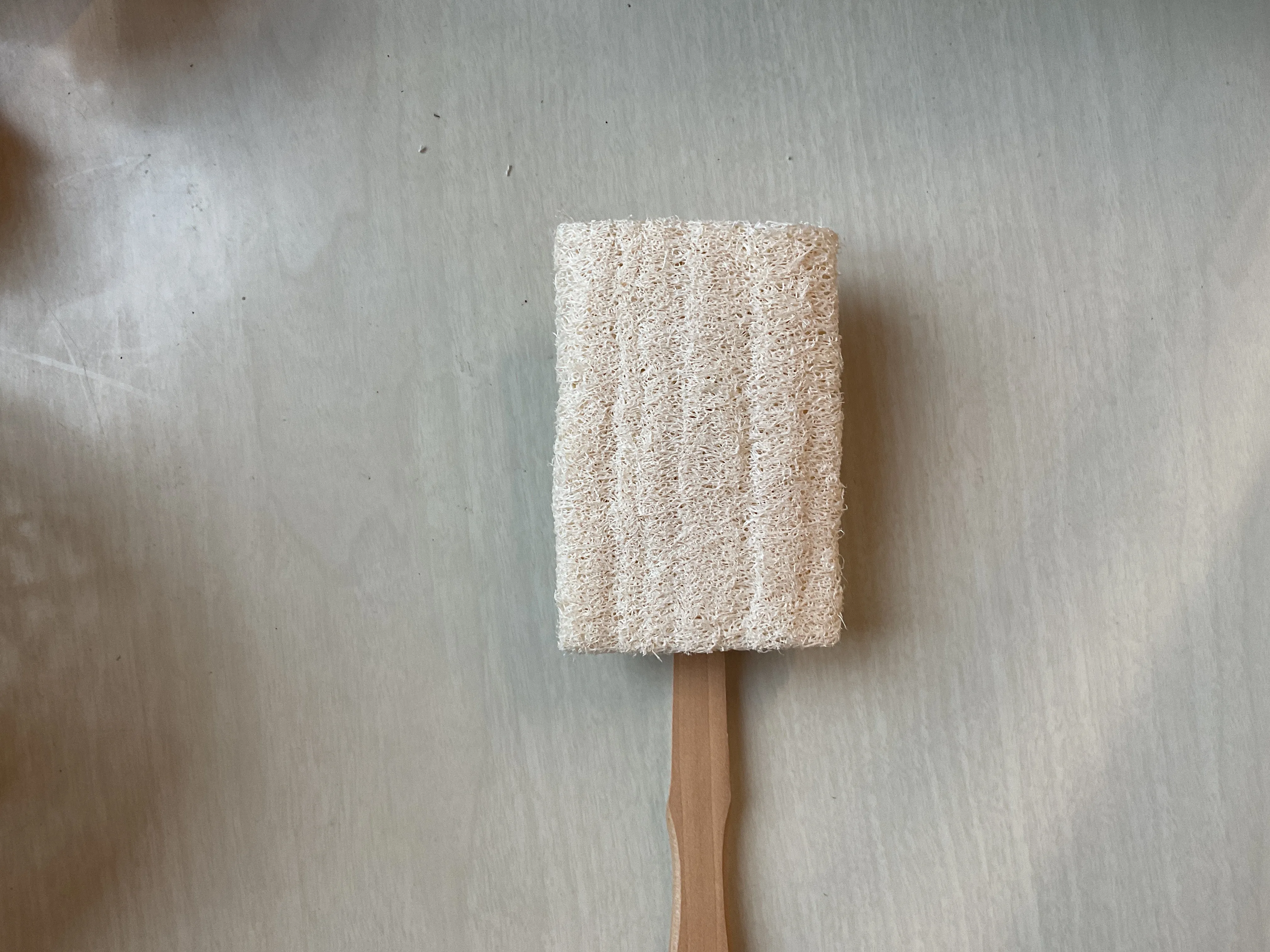 Eco Bath - Natural  Loofah  Brush