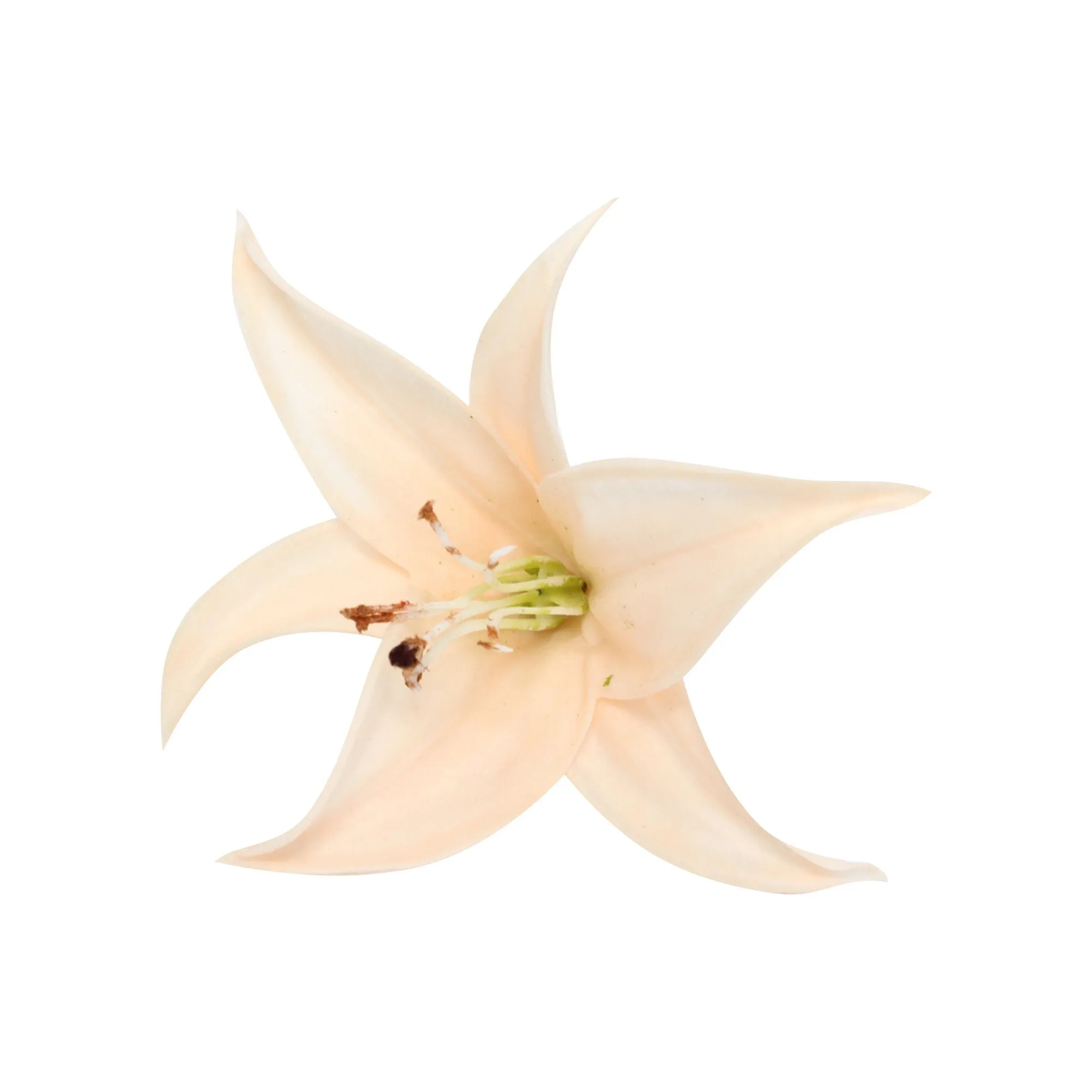 Real touch Tiger Lily flower for DIY bouquet corsage boutonniere cake toper